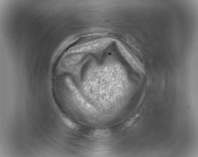 X0000065970101200603241924