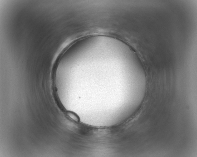 X0000065970102200603241924