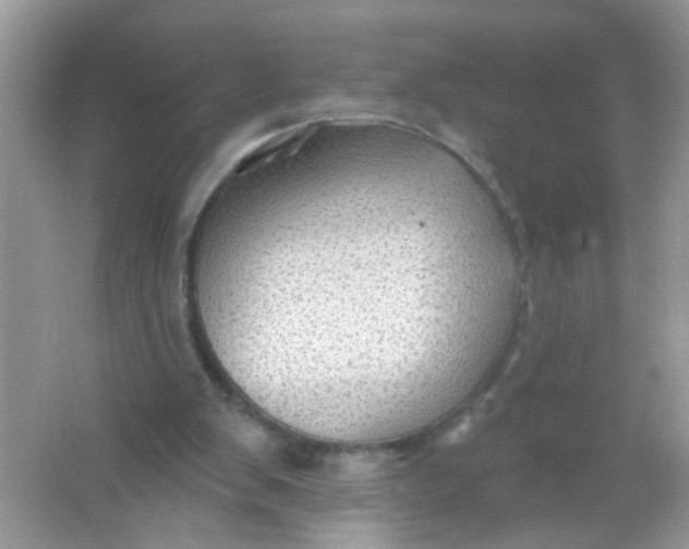 X0000065970103200603241924