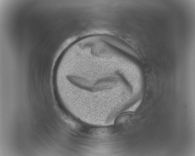 X0000065970104200603241924