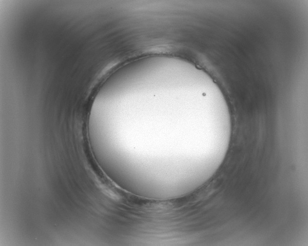 X0000065970106200603241924