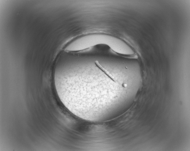 X0000065970107200603241924