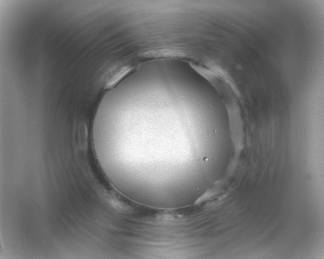 X0000065970109200603241923