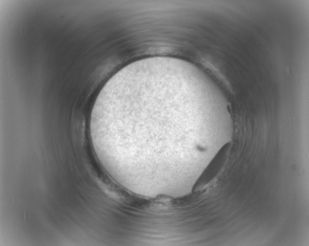 X0000065970110200603241923