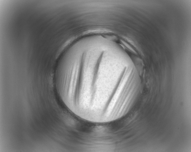 X0000065970111200603241923