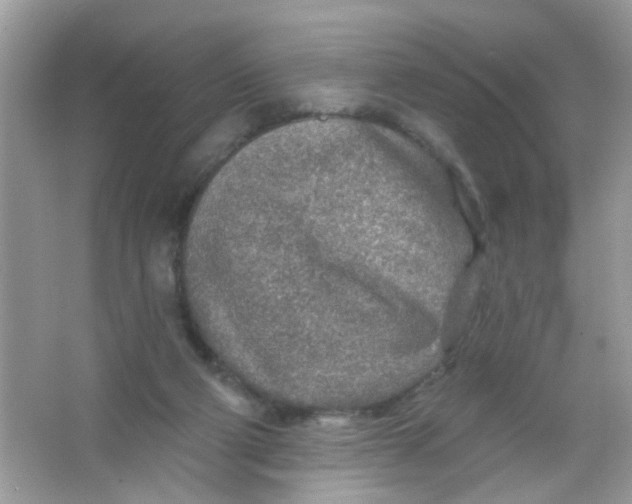 X0000065970114200603241923