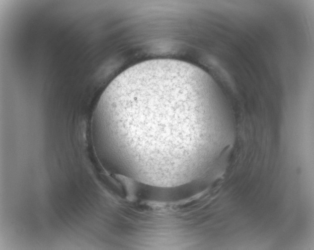 X0000065970115200603241923