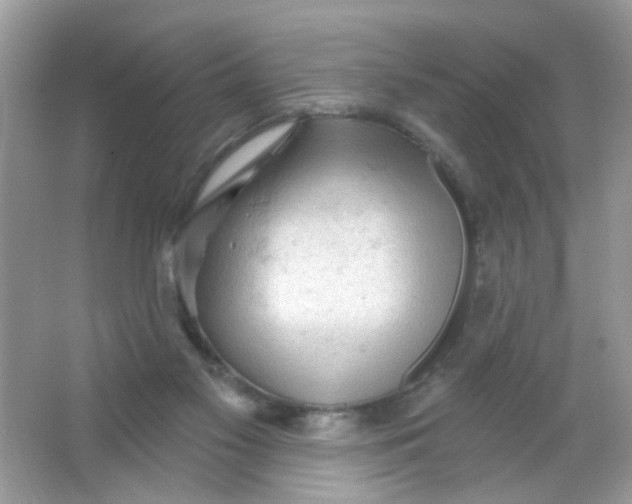 X0000065970117200603241923