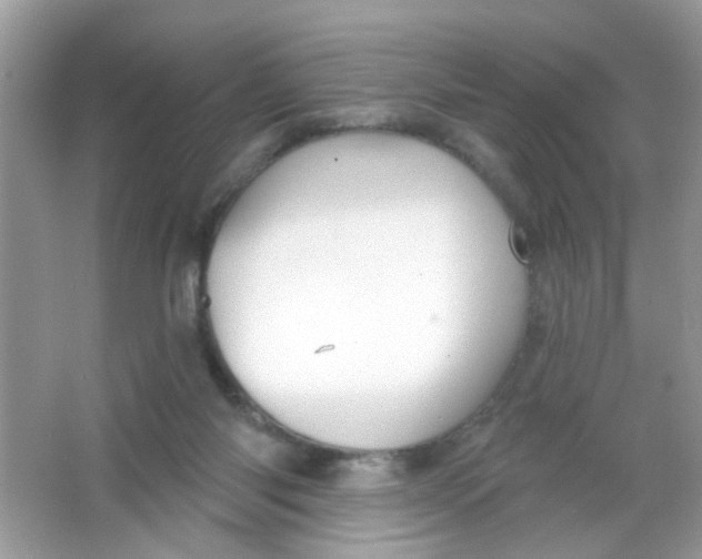 X0000065970118200603241923