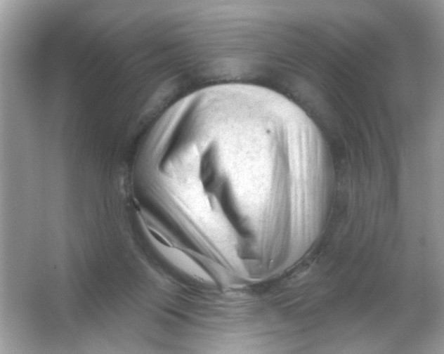 X0000065970119200603241923