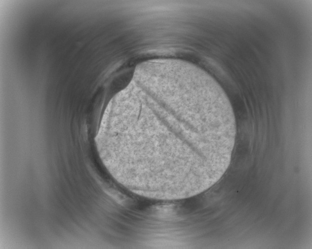 X0000065970120200603241923