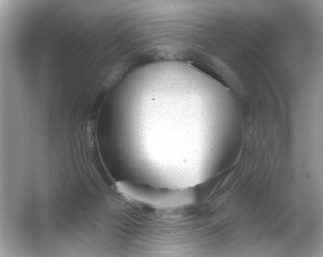 X0000065970121200603241923