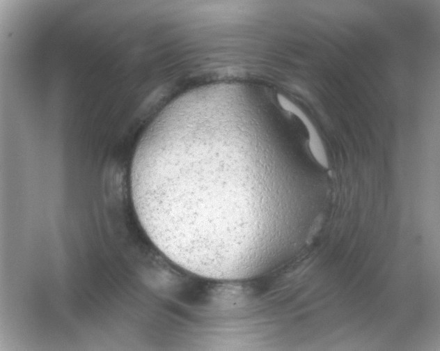 X0000065970123200603241923