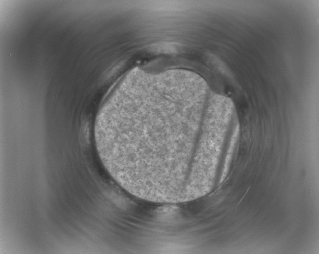 X0000065970124200603241923