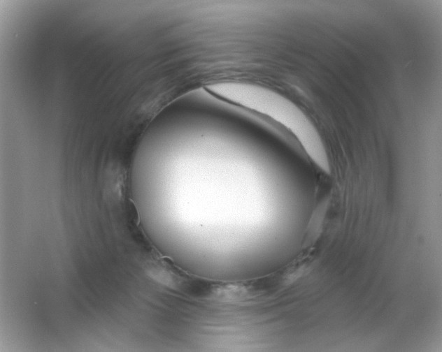 X0000065970125200603241923