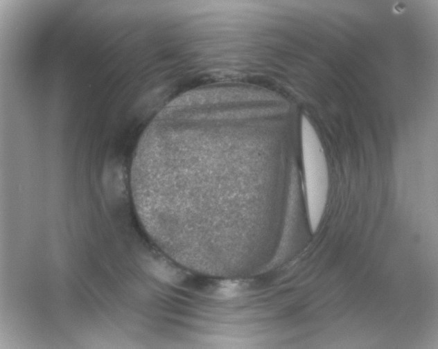 X0000065970130200603241923