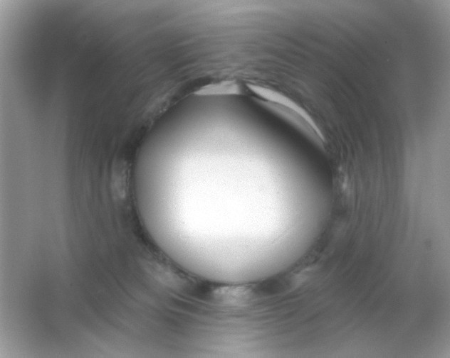 X0000065970133200603241923