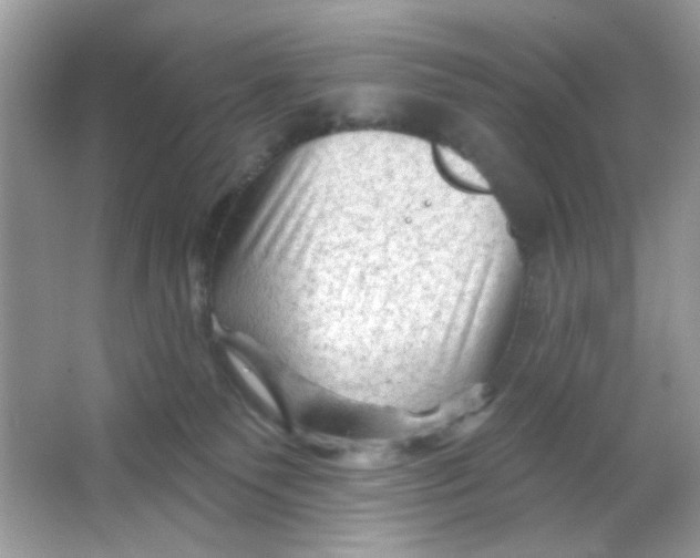 X0000065970135200603241923