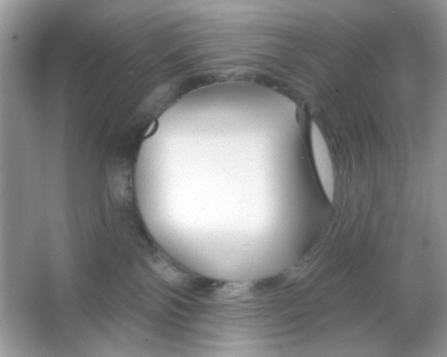 X0000065970138200603241923