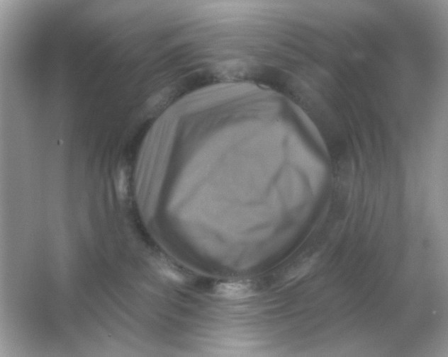 X0000065970139200603241923