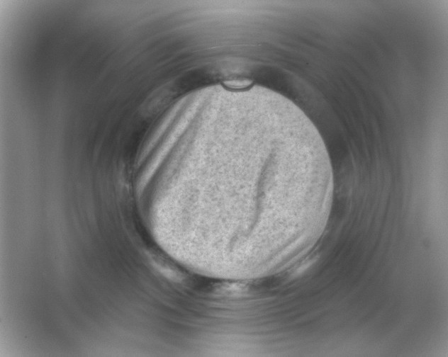 X0000065970140200603241923