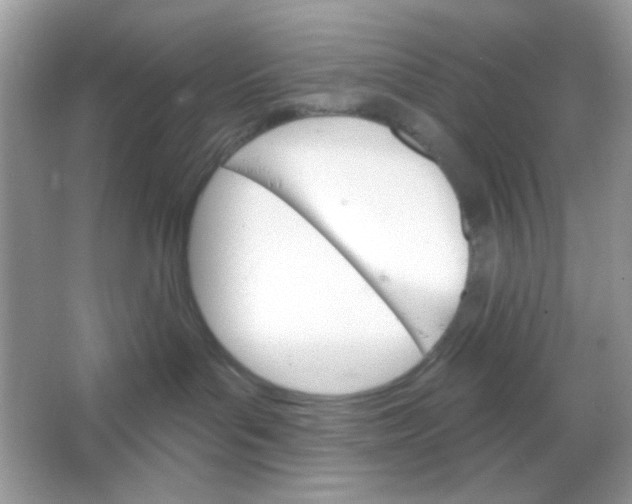 X0000065970143200603241923