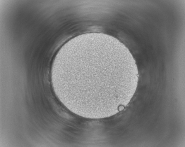 X0000065970146200603241922