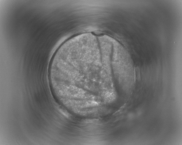 X0000065970147200603241922