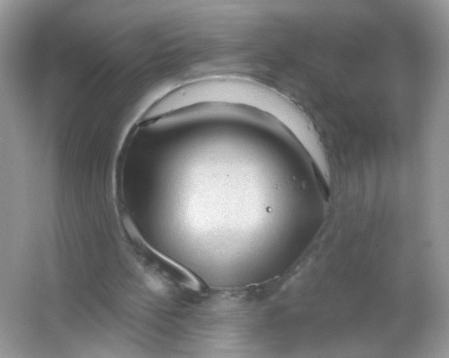 X0000065970148200603241922