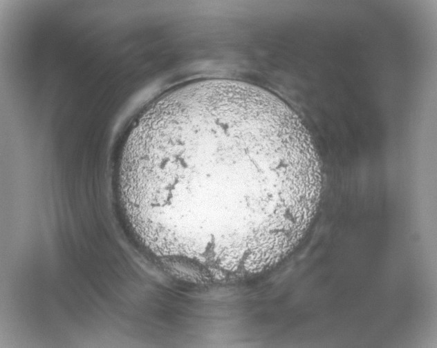 X0000065970149200603241922