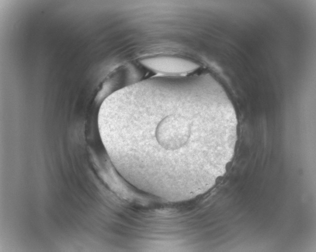 X0000065970154200603241922