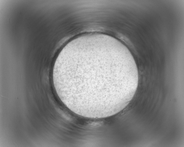 X0000065970155200603241922