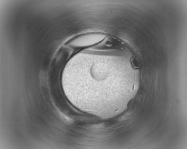 X0000065970156200603241922