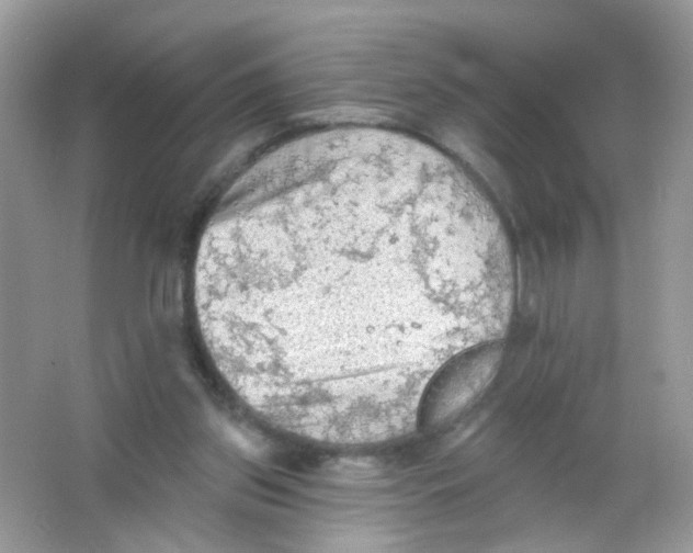 X0000065970157200603241922