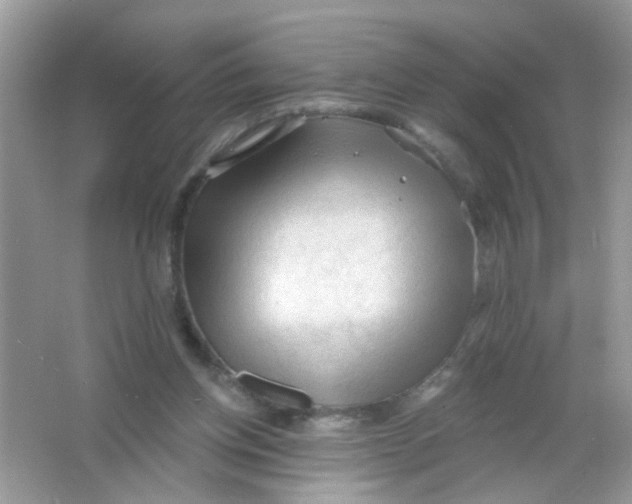 X0000065970158200603241922