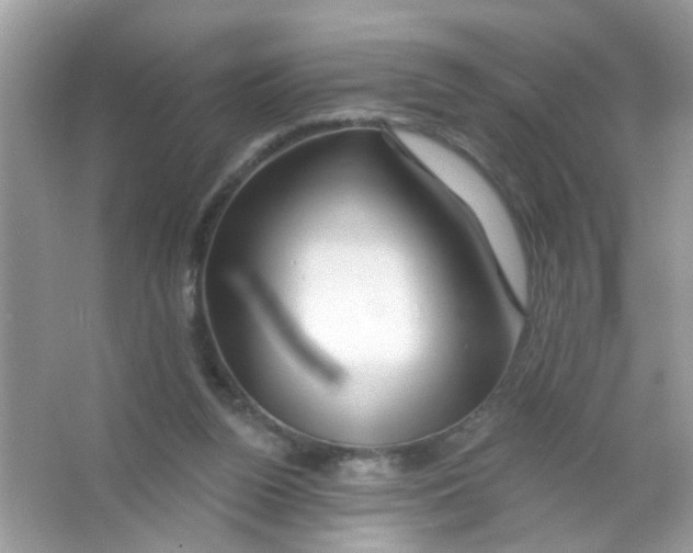 X0000065970160200603241922