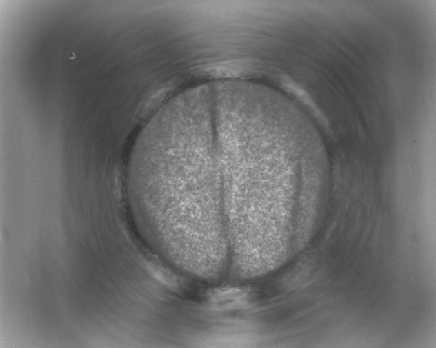 X0000065970161200603241922