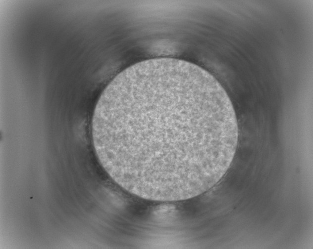 X0000065970162200603241922