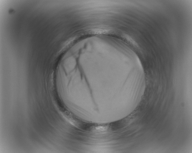 X0000065970163200603241922