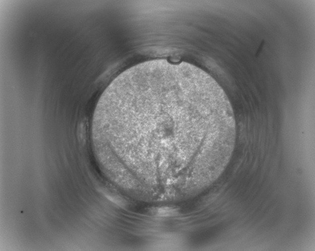 X0000065970165200603241922