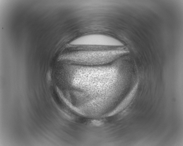 X0000065970166200603241922