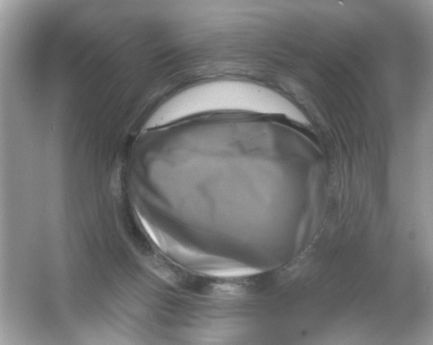 X0000065970167200603241922