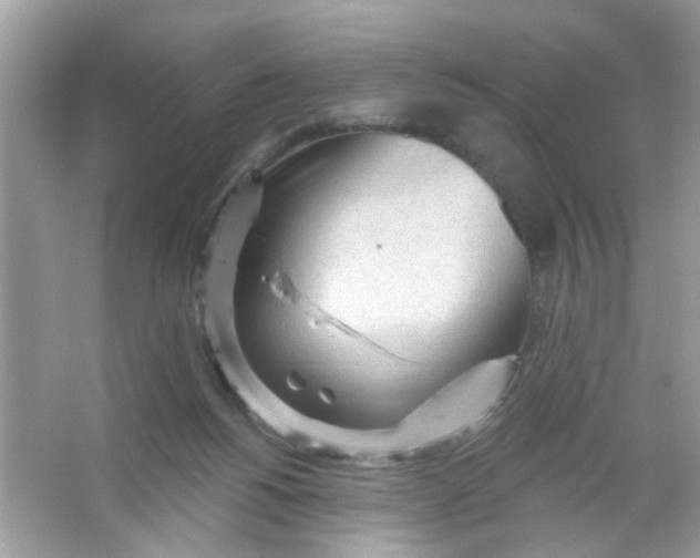 X0000065970168200603241922