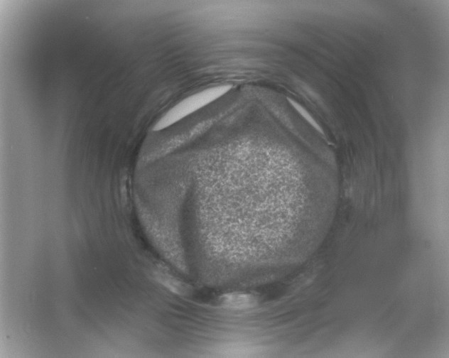 X0000065970169200603241922