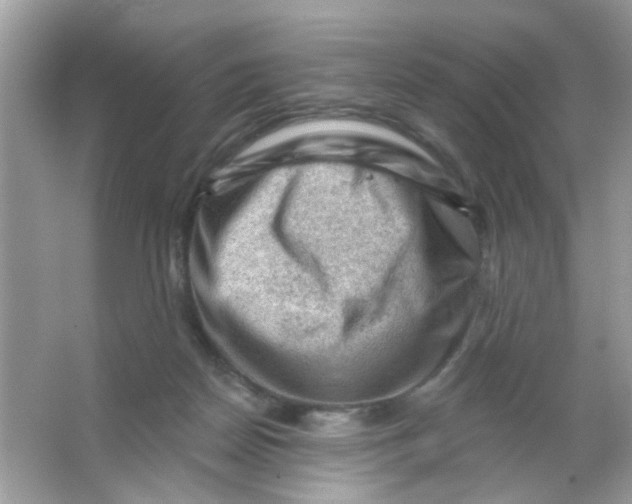 X0000065970170200603241922