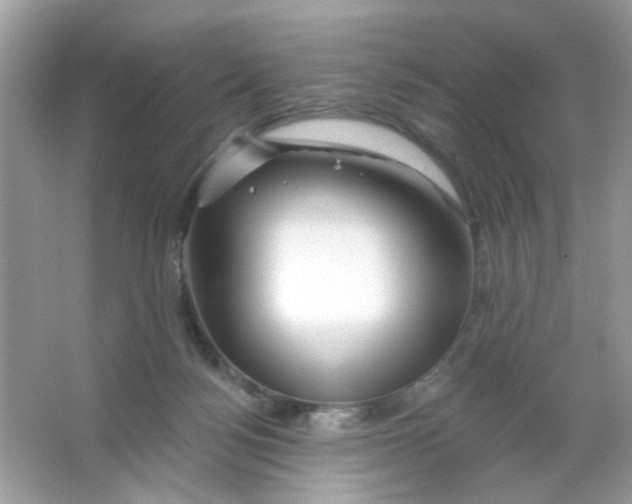 X0000065970172200603241923