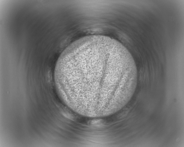 X0000065970173200603241923