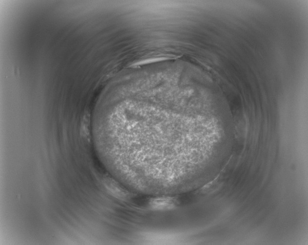 X0000065970175200603241923