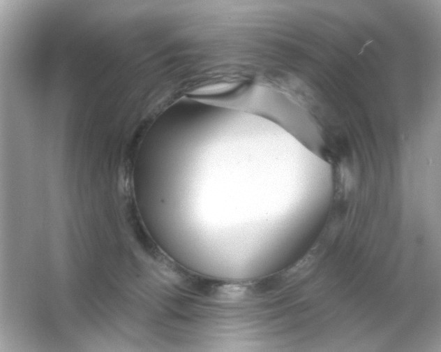 X0000065970176200603241923