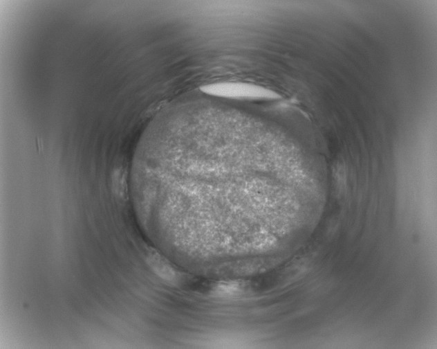 X0000065970177200603241923